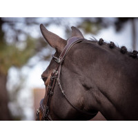 Bridon Wednesday gecombineerde neusriem Jump'In week Havana