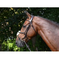 Bridon Wednesday gecombineerde neusriem Jump'In week