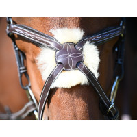 Bridon Wednesday gecombineerde neusriem Jump'In week Havana Bruin