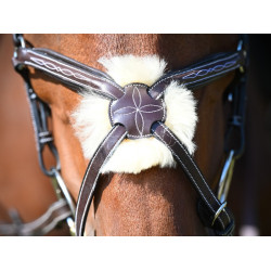 Bridon Wednesday gecombineerde neusriem Jump'In week Havana Bruin Bridon Wednesday gecombineerde neusriem Jump'In week Havana Bruin