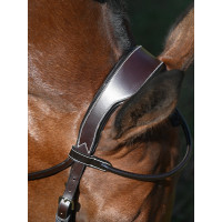 Bridon Wednesday gecombineerde neusriem Jump'In week Havana Bruin