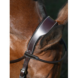 Bridon Wednesday gecombineerde neusriem Jump'In week Havana Bruin Bridon Wednesday gecombineerde neusriem Jump'In week Havana Bruin