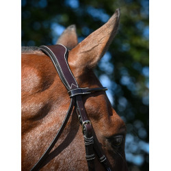 Bridon Wednesday gecombineerde neusriem Jump'In week Havana Bruin Bridon Wednesday gecombineerde neusriem Jump'In week Havana Bruin