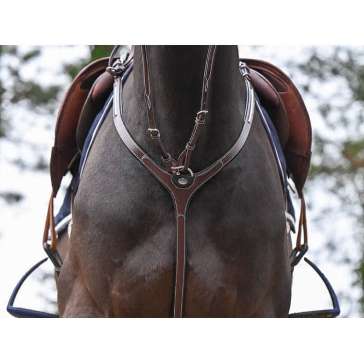 Borsttuig Clincher en martingaal Jump'In One Premium