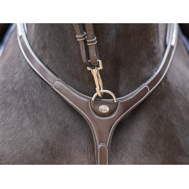 Borsttuig Clincher en martingaal Jump'In One Premium Borsttuig Clincher en martingaal Jump'In One Premium