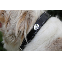 Halsband voor hond Jump'In Zwart