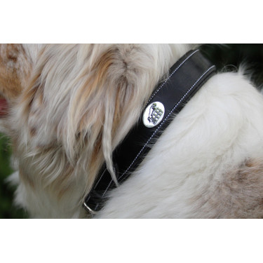 Halsband voor hond Jump'In Zwart