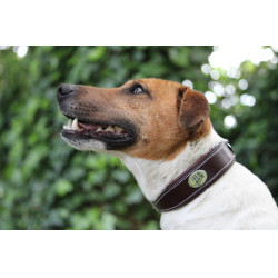 Halsband voor hond Jump'In