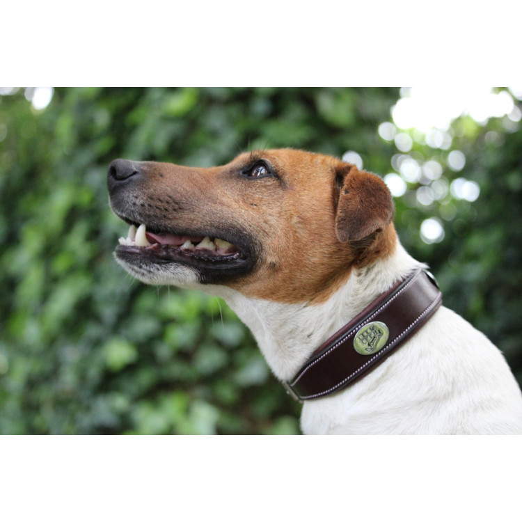 Halsband voor hond Jump'In