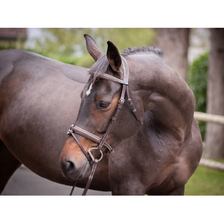 Filet Jump'In Crystal gecombineerde neusriem Week