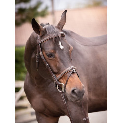 Filet Jump'In Crystal gecombineerde neusriem Week Havana Bruin