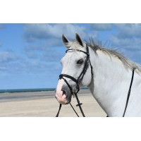 Filet Jump'In Monday gecombineerde neusriem week Havana Bruin