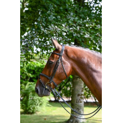 Filet Jump'In Monday gecombineerde neusriem week Zwart