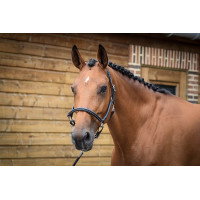 Poets halster Jump'In One Zwart