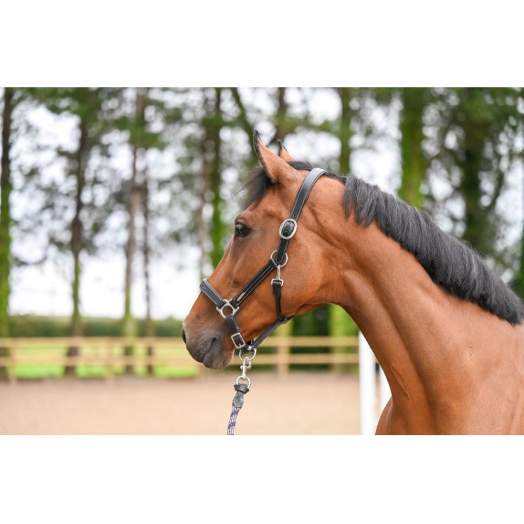 Halter Fancy Jump'In One