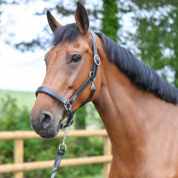 Halter Fancy Jump'In One Halter Fancy Jump'In One