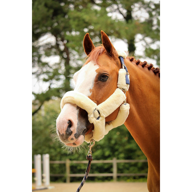 Halster Jump'In Soft One Halster Jump'In Soft One