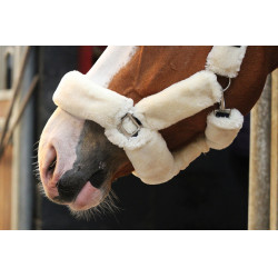 Halster Jump'In Soft One Halster Jump'In Soft One
