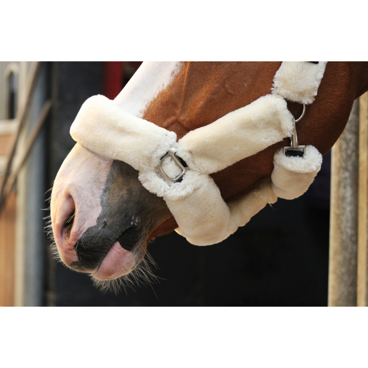 Halster Jump'In Soft One Halster Jump'In Soft One