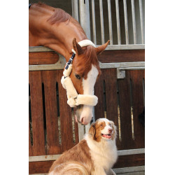 Halster Jump'In Soft One Halster Jump'In Soft One