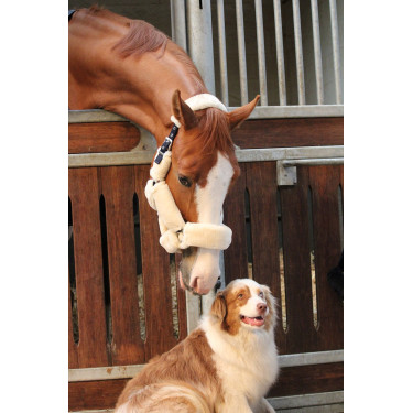 Halster Jump'In Soft One Halster Jump'In Soft One