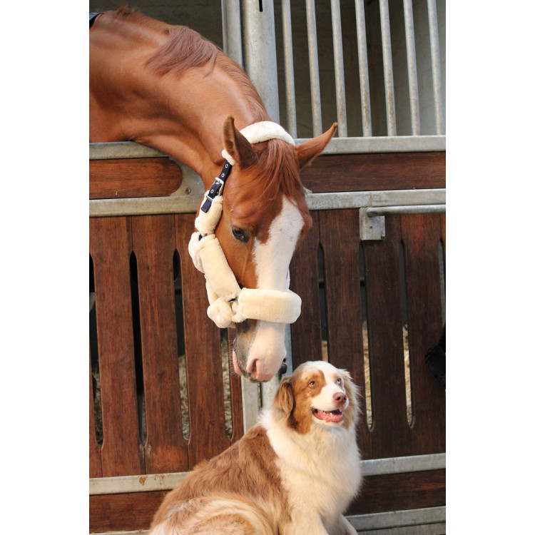 Halster Jump'In Soft One Halster Jump'In Soft One