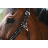 Halster woensdag Jump'In week Havana Bruin