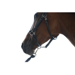 Halster woensdag Jump'In week Havana Bruin