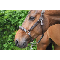 Halster woensdag Jump'In week Havana Bruin