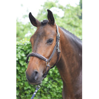 Halster woensdag Jump'In week Havana Bruin