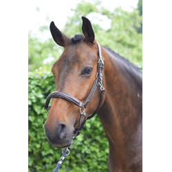 Halster woensdag Jump'In week Havana Bruin