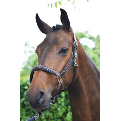 Halster woensdag Jump'In week Havana Bruin