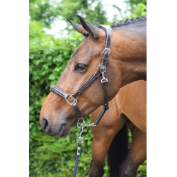 Halster woensdag Jump'In week Havana Bruin