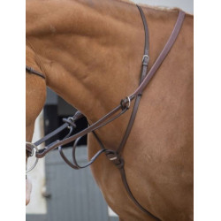 Martingaal met ringen Jump'In One Martingaal met ringen Jump'In One