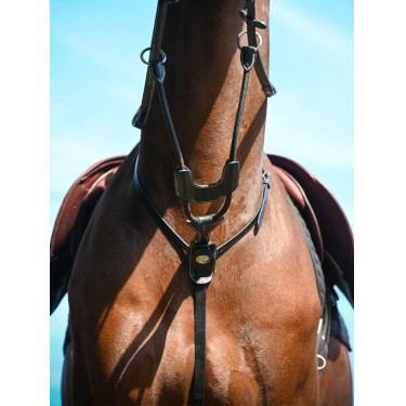 Elastische martingaal Jump'In met ringen Week