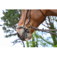 Duitse neusriem met ketting Jump'In Week Havana Bruin