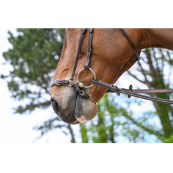 Duitse neusriem met ketting Jump'In Week