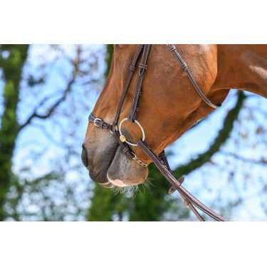 Duitse neusriem met ketting Jump'In Week Duitse neusriem met ketting Jump'In Week