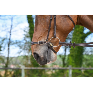 Duitse neusriem Jump'In Week
