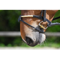 Combinatieneusriem touw Jump'In