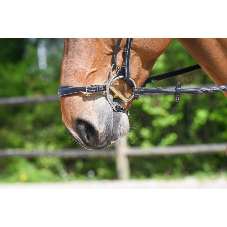 Hackamore neusriem Jump'In