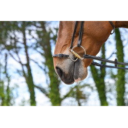 Kineton Neusriem Jump'In