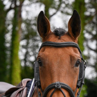 Afneembare oogkleppen Week Jump'In Havana Bruin