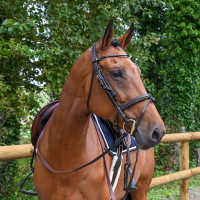 Afneembare oogkleppen Week Jump'In Havana Bruin