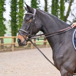 Duitse teugels Jump'In vlak leer Mahonie Bordeaux