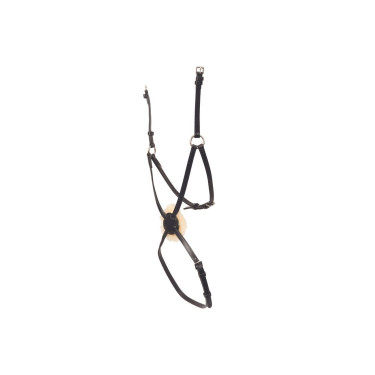 Neusriem Collegiate Mono Crown Grackle