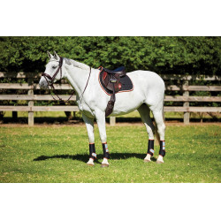 Therapy-Tec Weatherbeeta zadeldek Zwart / zilver / rood Therapy-Tec Weatherbeeta zadeldek Zwart / zilver / rood