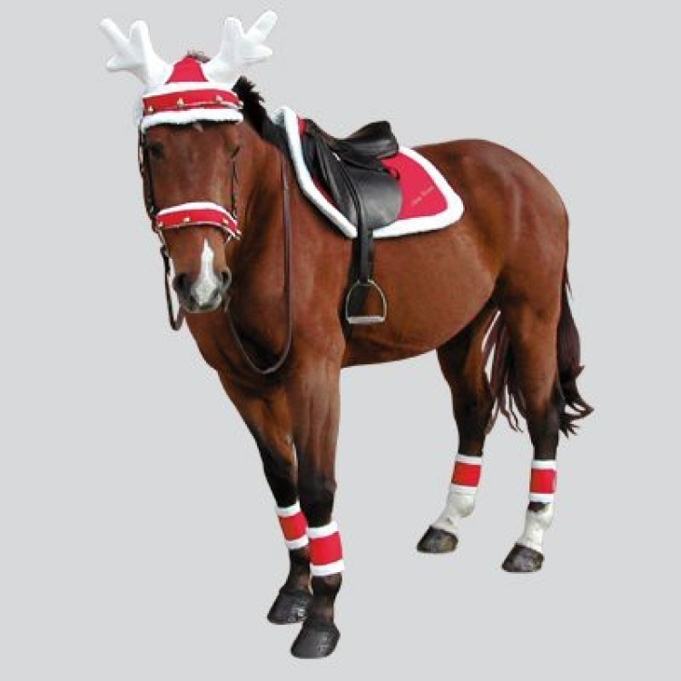Zadeldek Kerstmis Equithème Zadeldek Kerstmis Equithème