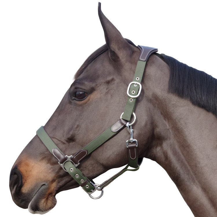 Halster Vlaggen & Beker Nylon/leer