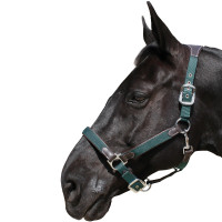 Halster Vlaggen & Beker Nylon/leer Bruin / marineblauw Halster Vlaggen & Beker Nylon/leer Bruin / marineblauw